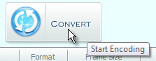 Click the 'Convert' button to start the conversion of the video